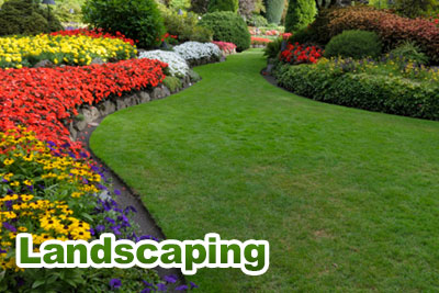 Landscaping and Lawn Service