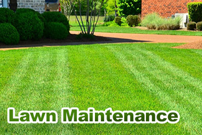 Lawn Maintenance